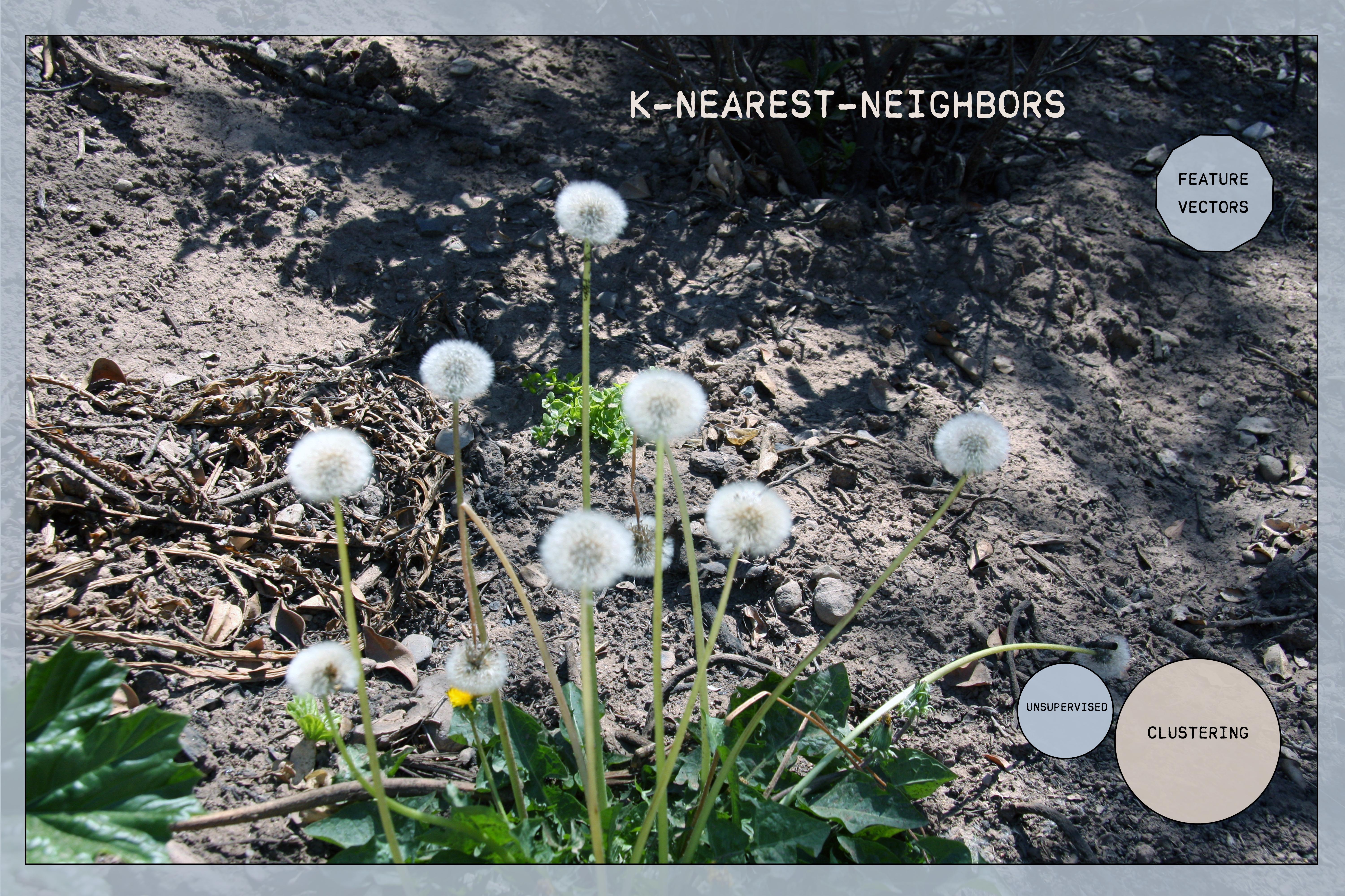 K-Nearest Neighbors Overview