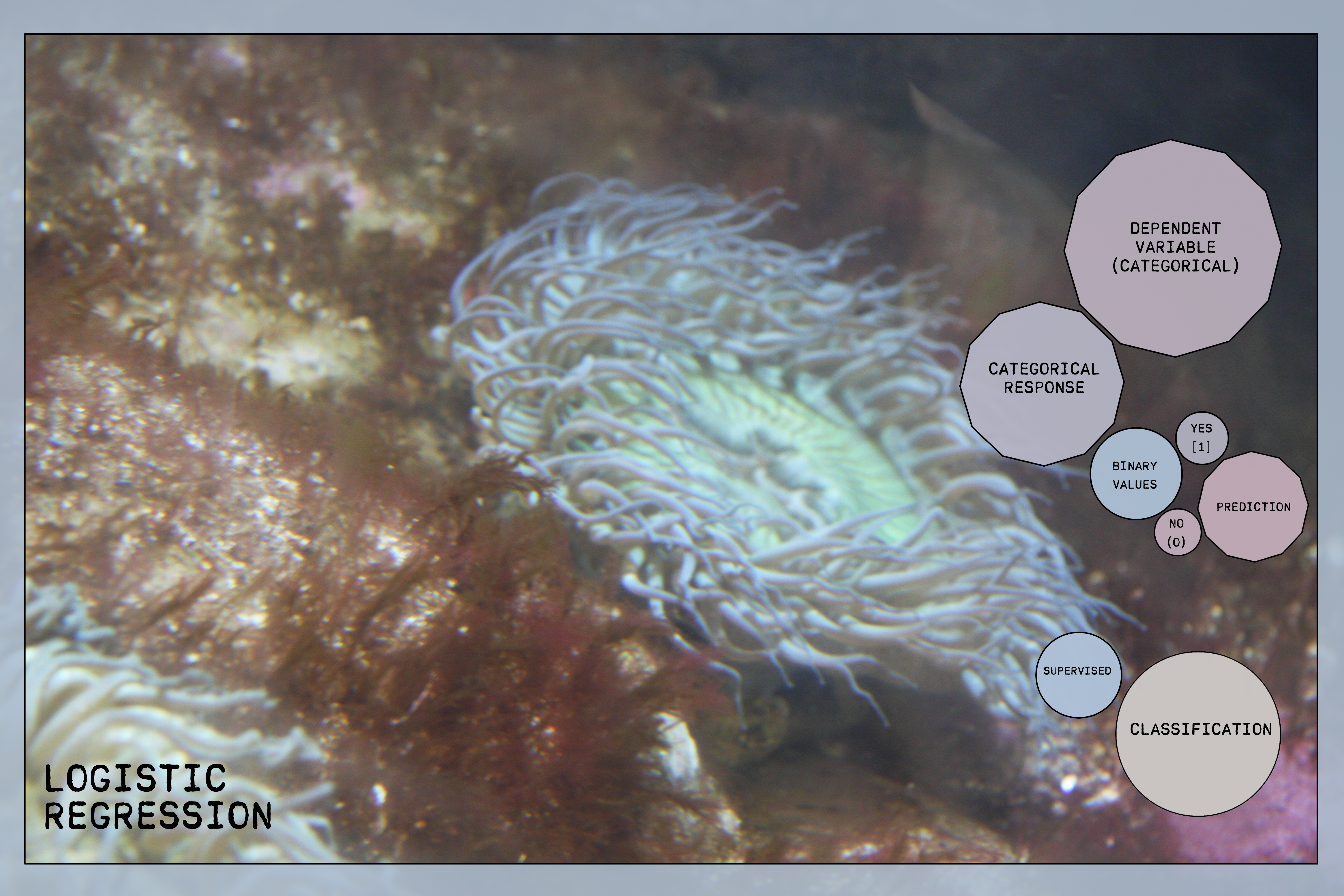 Logistic Regression Overview