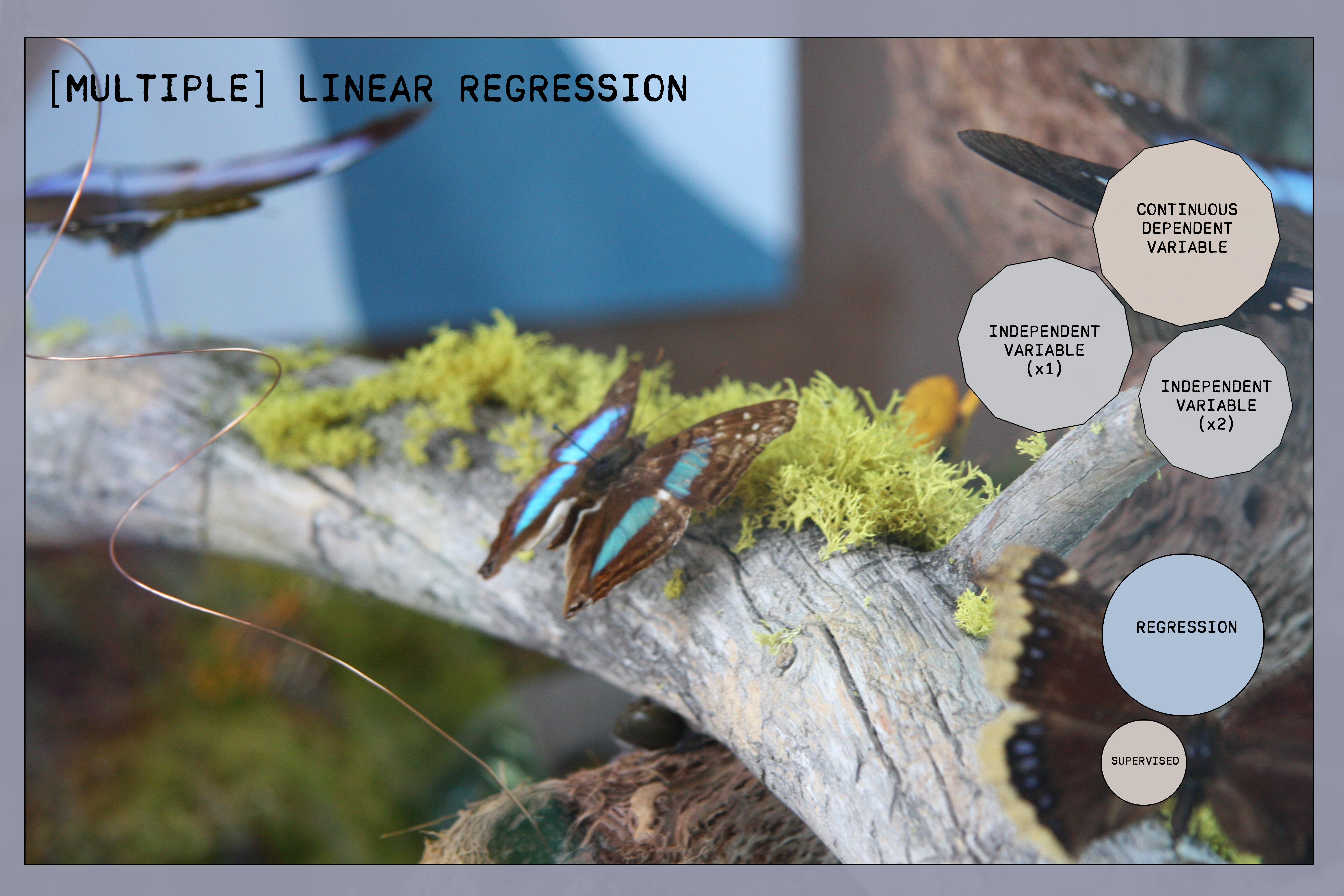 Multiple Linear Regression Overview