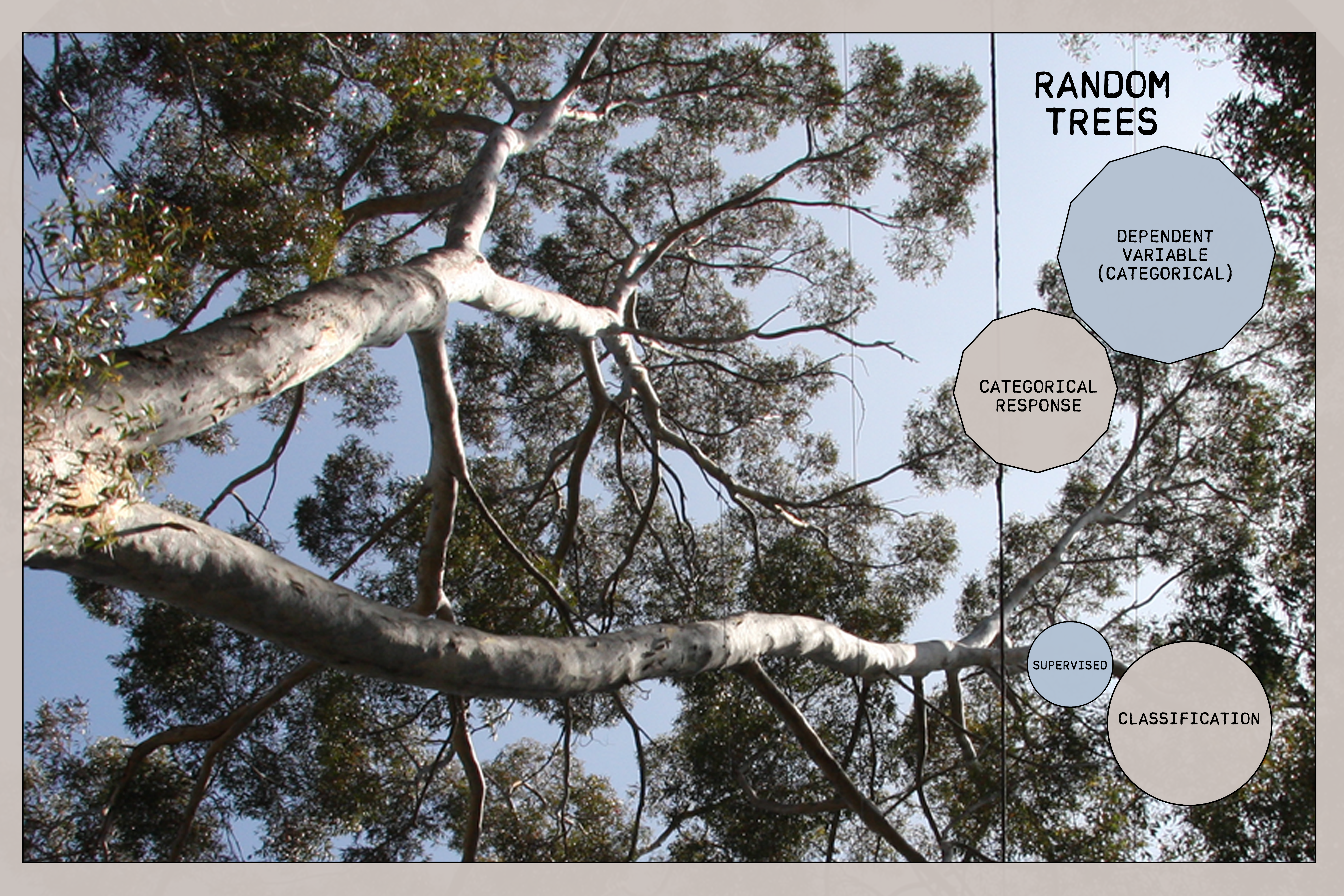 Random Trees Overview