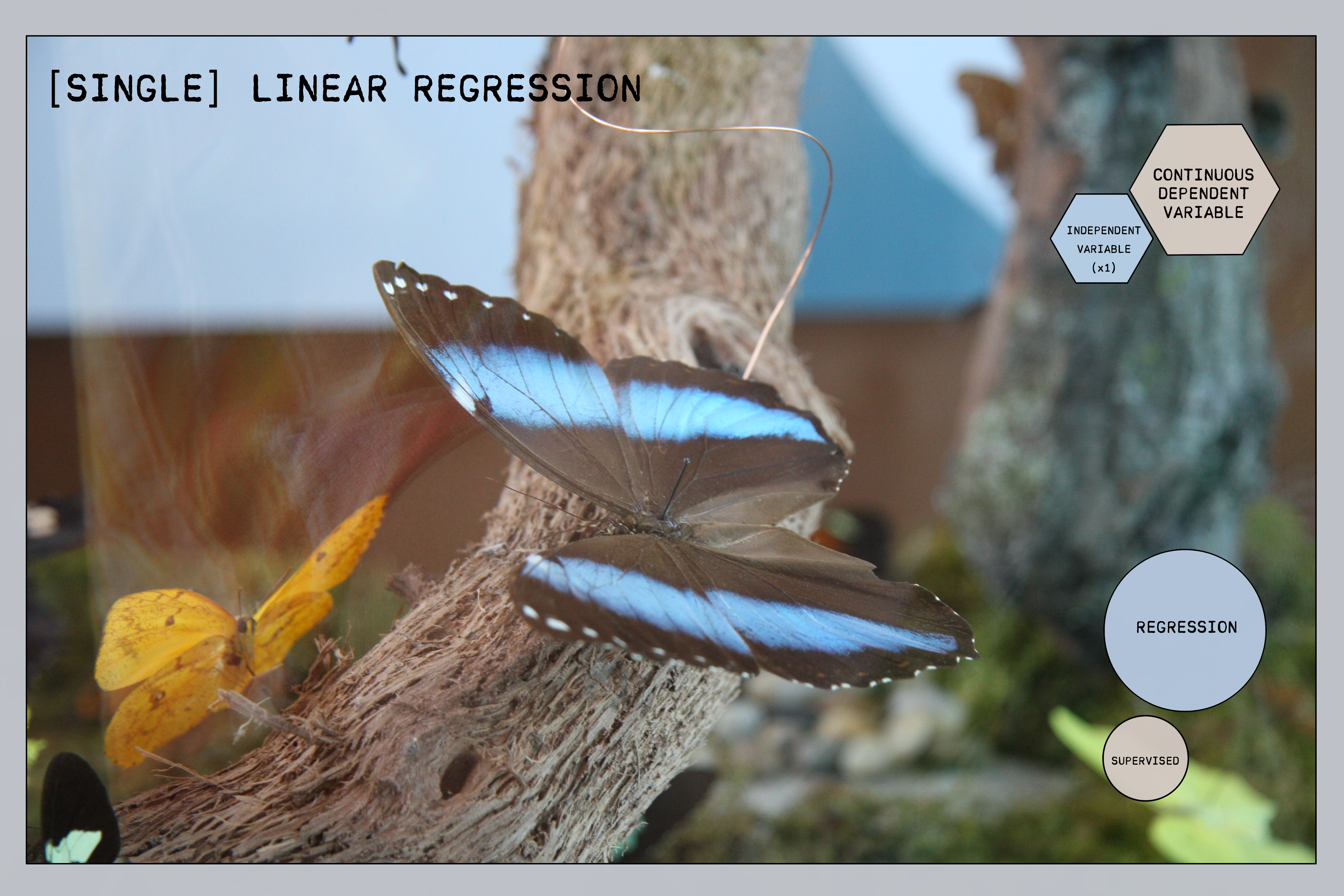 Linear Regression Overview