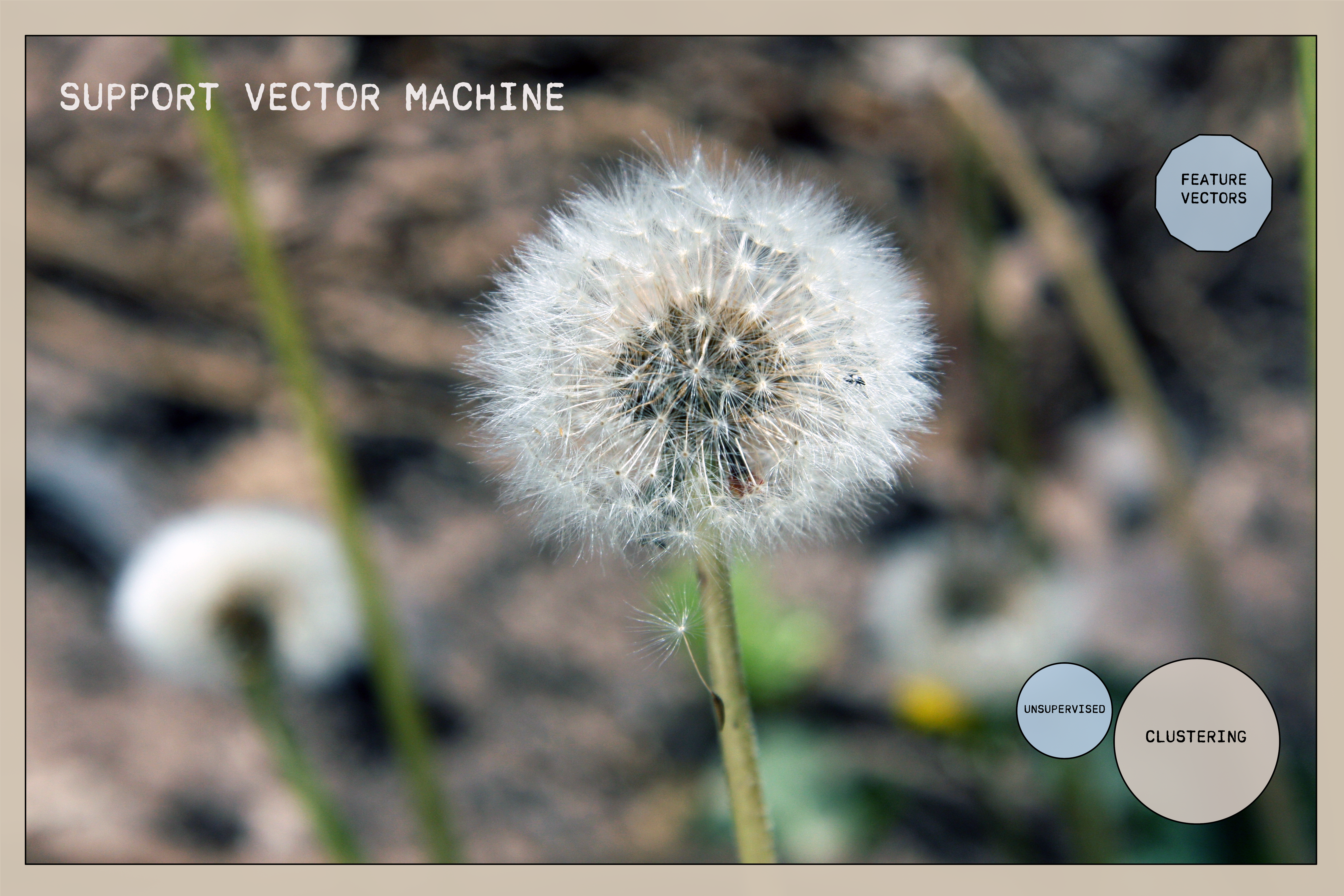 Support Vector Machine Overview